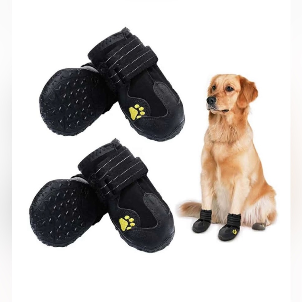 Black Dog Boots with Gold Accents